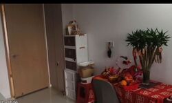Jalan Kemaman (D12), Condominium #531089191